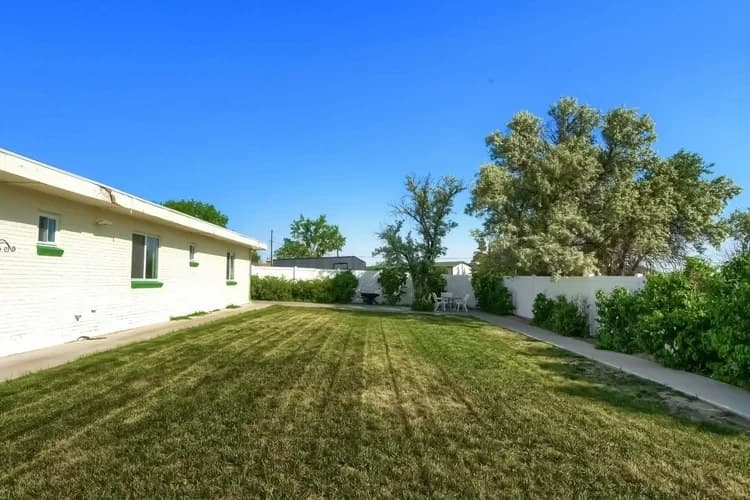 Spacious fenced backyard with lawn and patio at Aspen Leaf Circle Lane